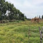 1 Acre Residential Land Chepkanga Eldoret