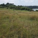 FOR SALE: 2 Prime Waterfront Acres – Baharini, Eldoret West
