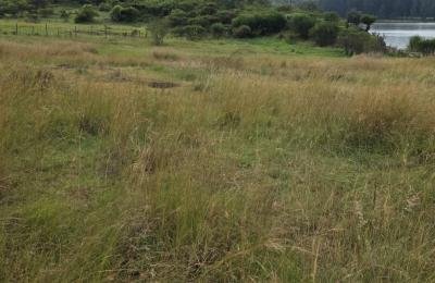 FOR SALE: 2 Prime Waterfront Acres – Baharini, Eldoret West