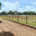 Prime Residential Plots For Sale in Ilula, Eldoret