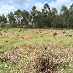 Very Prime Plots in Kabongo Kapseret , Eldoret Southern Bypass