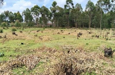 Very Prime Plots in Kabongo Kapseret , Eldoret Southern Bypass