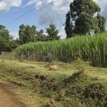 Prime residential listing 1 Bedroom Property in Ainabkoi
