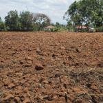 🌿 FOR SALE – PRIME 2 ACRES IN KOILEL 🌿