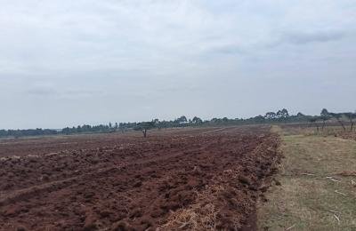 🌾 25 ACRES FOR SALE – Rayfarm, Moiben 🌾