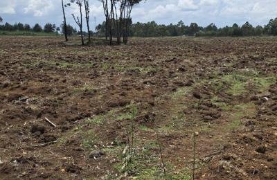 FOR SALE – PRIME 20 ACRES @ ZENA ROSES, PLATEAU