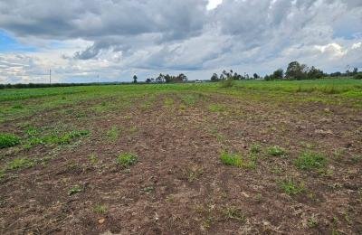 5bedroom+ 20 Acre Land in Kiplombe Kaplelach