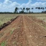 Residential 1/8Acre Plots & ¼Acre Acre Plots  For Sale in Outspan, Ancilla, Eldoret
