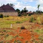 PRIME 50×100 PLOTS FOR SALE – RACECOURSE, ELDORET