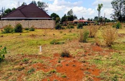 PRIME 50×100 PLOTS FOR SALE – RACECOURSE, ELDORET